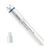 Philips LED Putki T8 MASTER (EM/Mains) High Output 8W 1050lm - 840 Kylmä Valkoinen | 60cm - Korvaa 18W