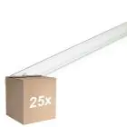 Monipakkaus 25x Philips T8 UV - C 25W - Ultravioletti | 44cm