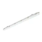 Philips LED Loisteputkivalaisimet Vedenkestävä Ledinaire WT065C 30/53W 4100/6800lm - 840 Kylmä Valkoinen | 150cm